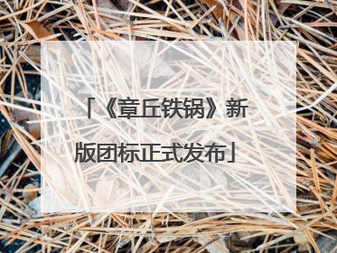 《章丘铁锅》新版团标正式发布