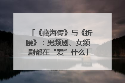 《藏海传》与《折腰》：男频剧、女频剧都在“爱”什么