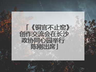 《铜官不止窑》创作交流会在长沙政协同心园举行 陈刚出席