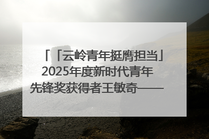 「云岭青年挺膺担当」2025年度新时代青年先锋奖获得者王敏奇——澜沧江上好渔人