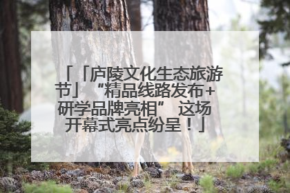 「庐陵文化生态旅游节」“精品线路发布+研学品牌亮相” 这场开幕式亮点纷呈！