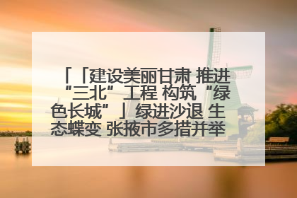 「建设美丽甘肃 推进“三北”工程 构筑“绿色长城”」绿进沙退 生态蝶变 张掖市多措并举加大防沙治沙力度