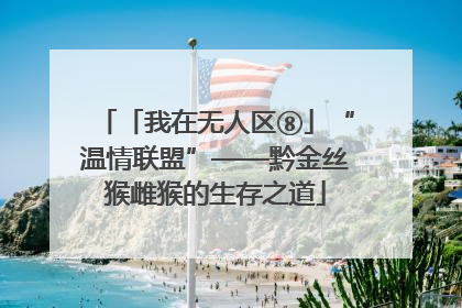 「我在无人区⑧」“温情联盟”——黔金丝猴雌猴的生存之道