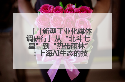 「新型工业化媒体调研行」从“北斗七星”到“热带雨林”：上海AI生态的技术商业共生密码
