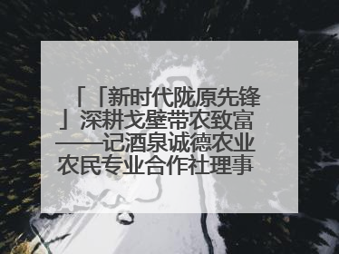 「新时代陇原先锋」深耕戈壁带农致富——记酒泉诚德农业农民专业合作社理事长范立德