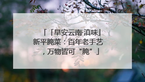 「早安云南·滇味」新平腌菜：百年老手艺，万物皆可“腌”