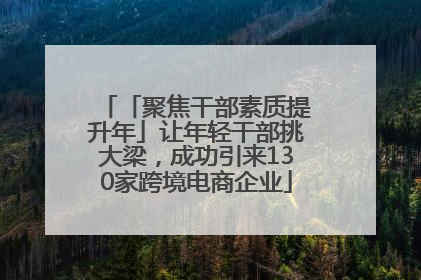 「聚焦干部素质提升年」让年轻干部挑大梁，成功引来130家跨境电商企业