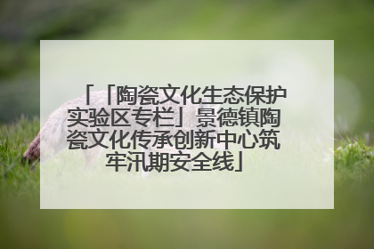 「陶瓷文化生态保护实验区专栏」景德镇陶瓷文化传承创新中心筑牢汛期安全线
