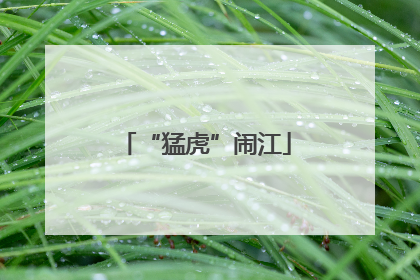 “猛虎”闹江
