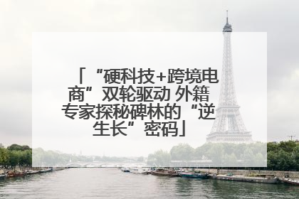 “硬科技+跨境电商”双轮驱动 外籍专家探秘碑林的“逆生长”密码