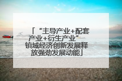 “主导产业+配套产业+衍生产业” 镇域经济创新发展释放强劲发展动能