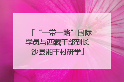“一带一路”国际学员与西藏干部到长沙县湘丰村研学
