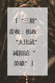 “三夏”麦收：机收“大比武” 减损论“英雄”