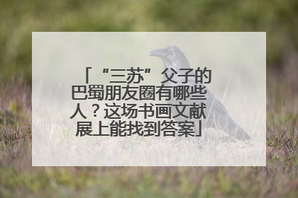 “三苏”父子的巴蜀朋友圈有哪些人？这场书画文献展上能找到答案