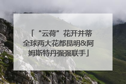 “云荷”花开并蒂 全球两大花都昆明&阿姆斯特丹强强联手