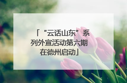 “云话山东”系列外宣活动第六期在德州启动