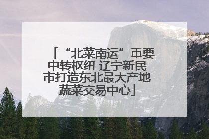 “北菜南运”重要中转枢纽 辽宁新民市打造东北最大产地蔬菜交易中心