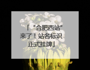 “合肥西站”来了！站名标识正式挂牌