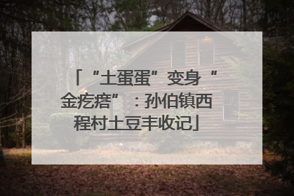 “土蛋蛋”变身“金疙瘩”：孙伯镇西程村土豆丰收记