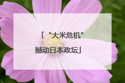 “大米危机”撼动日本政坛