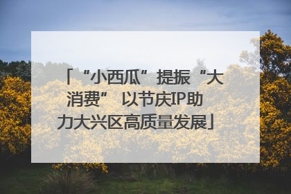 “小西瓜”提振“大消费” 以节庆IP助力大兴区高质量发展