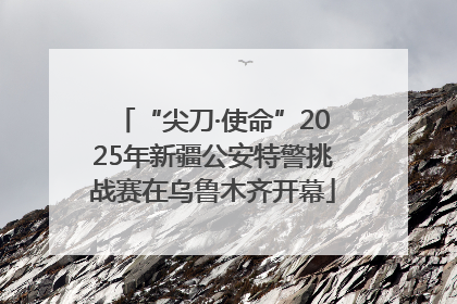 “尖刀·使命”2025年新疆公安特警挑战赛在乌鲁木齐开幕