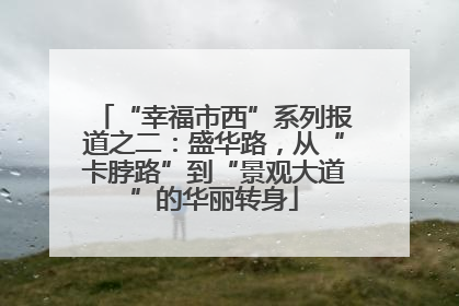“幸福市西”系列报道之二：盛华路，从“卡脖路”到“景观大道”的华丽转身