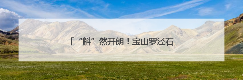 “斛”然开朗！宝山罗泾石斛花节绽放“花样经济”
