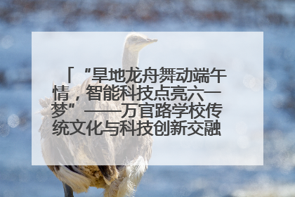 “旱地龙舟舞动端午情，智能科技点亮六一梦”——万官路学校传统文化与科技创新交融的精彩盛宴