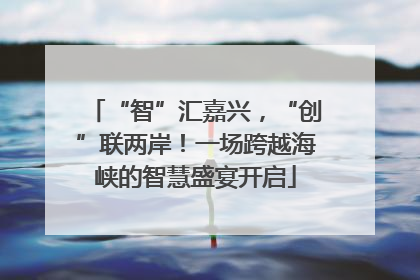“智”汇嘉兴，“创”联两岸！一场跨越海峡的智慧盛宴开启