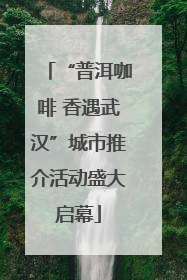 “普洱咖啡 香遇武汉”城市推介活动盛大启幕