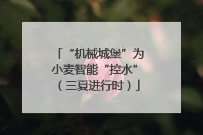 “机械城堡”为小麦智能“控水”（三夏进行时）