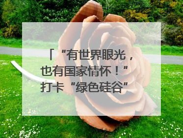 “有世界眼光，也有国家情怀！”打卡“绿色硅谷”，博主新解乐山｜网络名人四川行