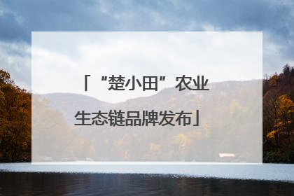 “楚小田”农业生态链品牌发布