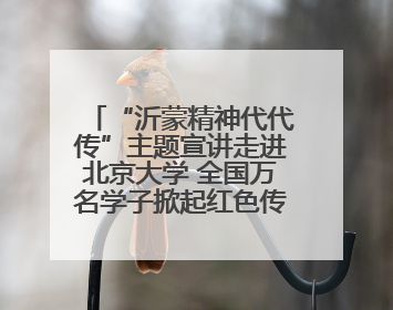 “沂蒙精神代代传”主题宣讲走进北京大学 全国万名学子掀起红色传承热潮