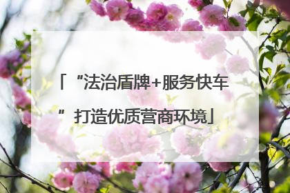 “法治盾牌+服务快车”打造优质营商环境
