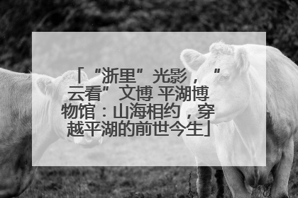 “浙里”光影，“云看”文博 平湖博物馆：山海相约，穿越平湖的前世今生