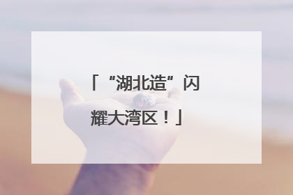 “湖北造”闪耀大湾区！