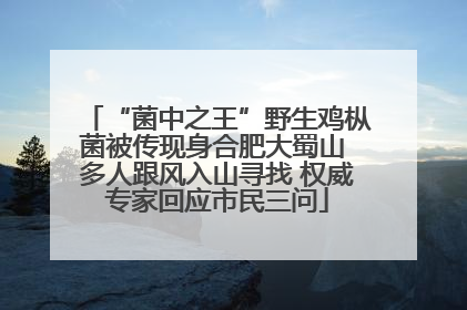 “菌中之王”野生鸡枞菌被传现身合肥大蜀山 多人跟风入山寻找 权威专家回应市民三问