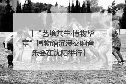 “艺境共生·博物华章”博物馆沉浸交响音乐会在沈阳举行