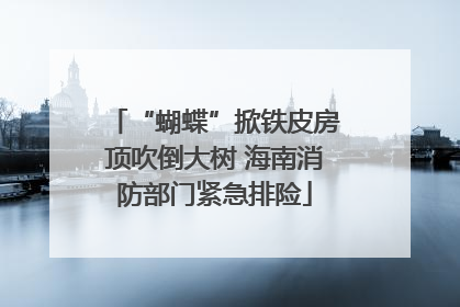 “蝴蝶”掀铁皮房顶吹倒大树 海南消防部门紧急排险