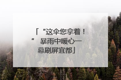 “这伞您拿着！” 暴雨中暖心一幕刷屏宜都