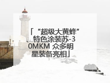 “超级大黄蜂”、特色涂装苏-30MKM 众多明星装备亮相