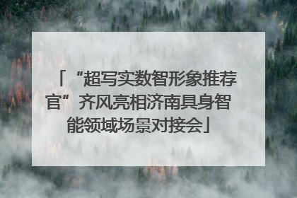 “超写实数智形象推荐官”齐风亮相济南具身智能领域场景对接会