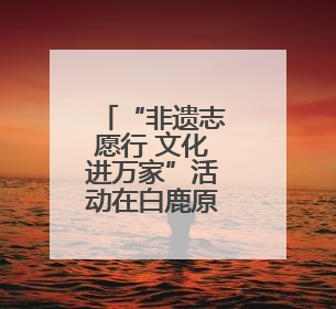 “非遗志愿行 文化进万家”活动在白鹿原·白鹿仓圆满举办