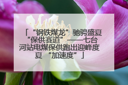 “钢铁煤龙”驰骋盛夏 “保供赛道”——七台河站电煤保供跑出迎峰度夏 “加速度”