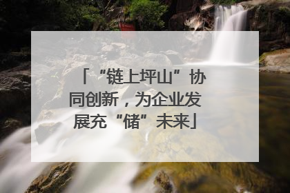 “链上坪山”协同创新，为企业发展充“储”未来