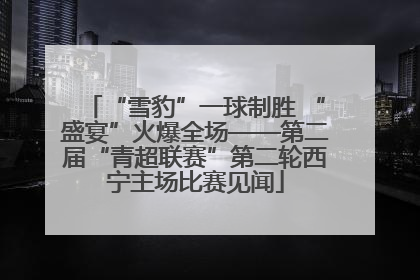 “雪豹”一球制胜 “盛宴”火爆全场——第二届“青超联赛”第二轮西宁主场比赛见闻