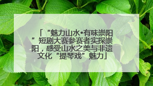 “魅力山水•有味崇阳”短剧大赛参赛者实探崇阳，感受山水之美与非遗文化“提琴戏”魅力