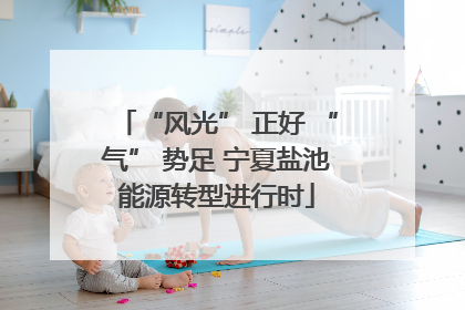 “风光” 正好 “气” 势足 宁夏盐池能源转型进行时